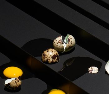 Castle.Proxies.IUpCardProxy?.CardImage?.AltText