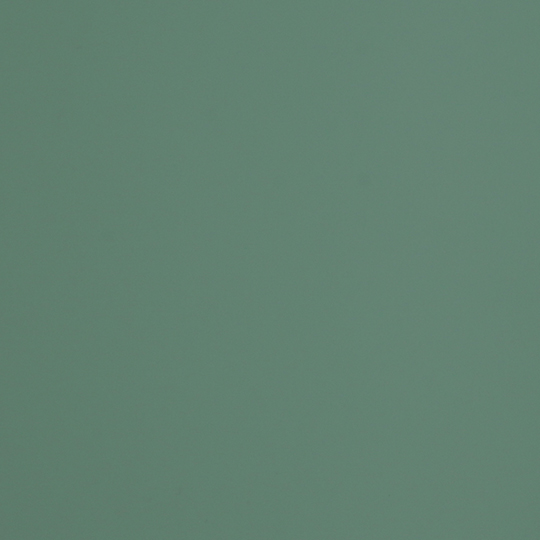 みどり！ J0773 VERDE BRAC - FENIX NTM BLOOM