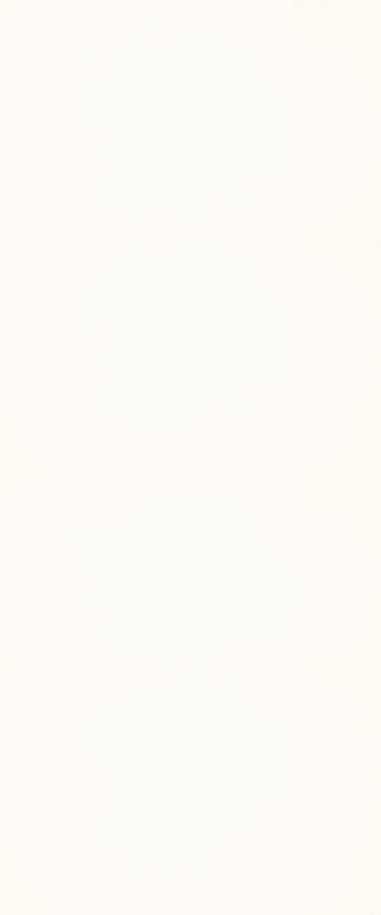 Fenix white best sale