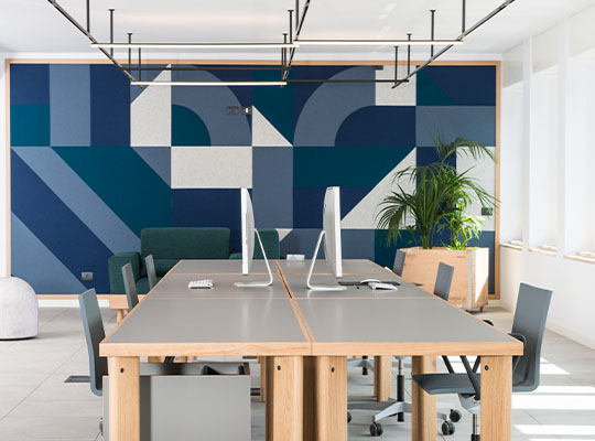 NTM office with desk and plant